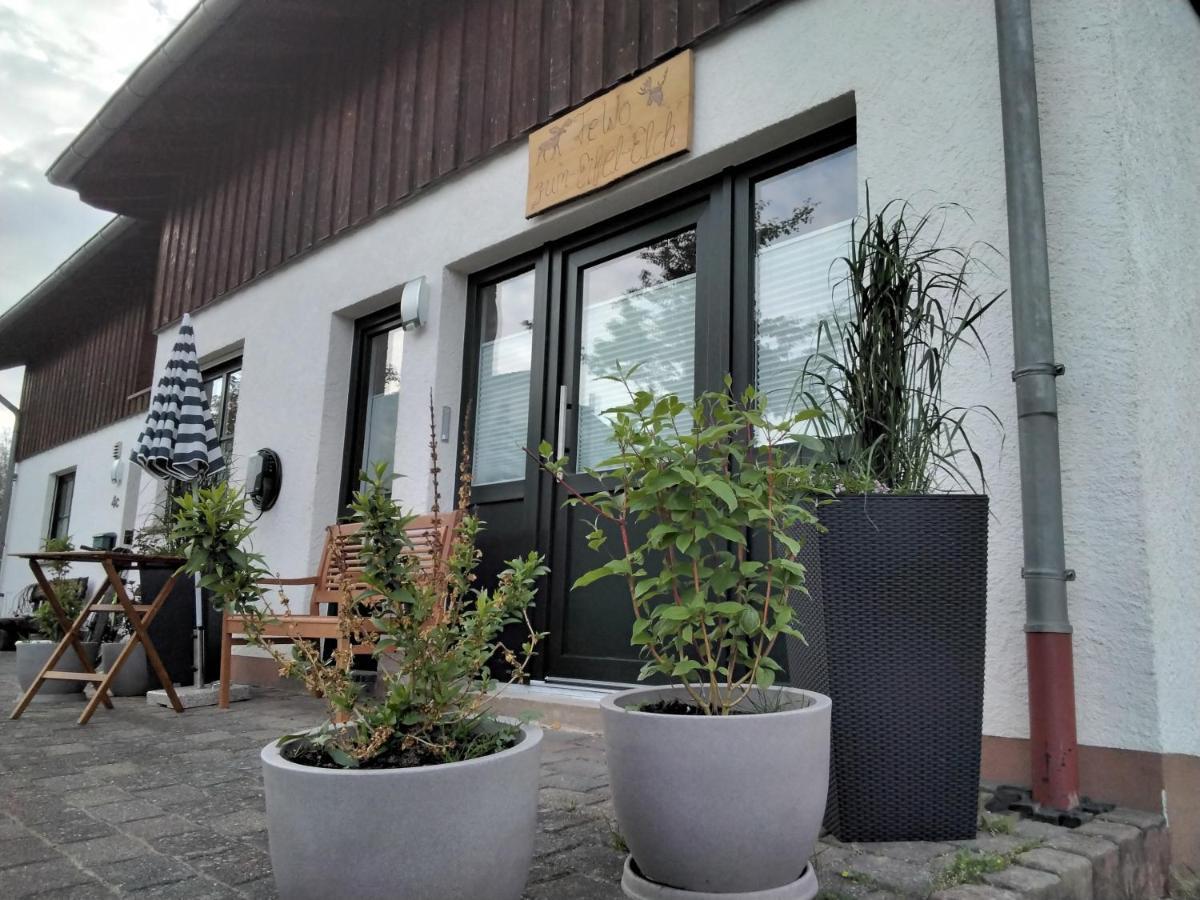 דאון Ferienwohnung Zum Eifelelch מראה חיצוני תמונה